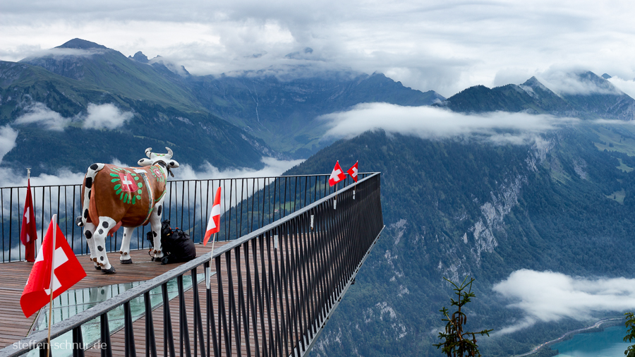 Berge Kuh Aussichtsplattform Fahnen Schweiz von oben