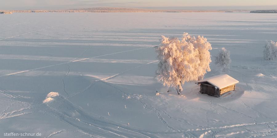 Lappland Finnland Baum Hütte Winter