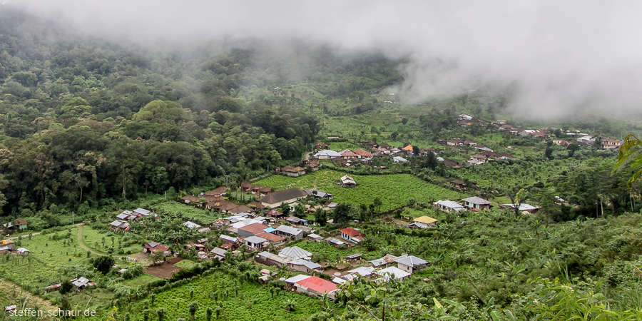 Bali Indonesien Dorf Natur Wald Wolken