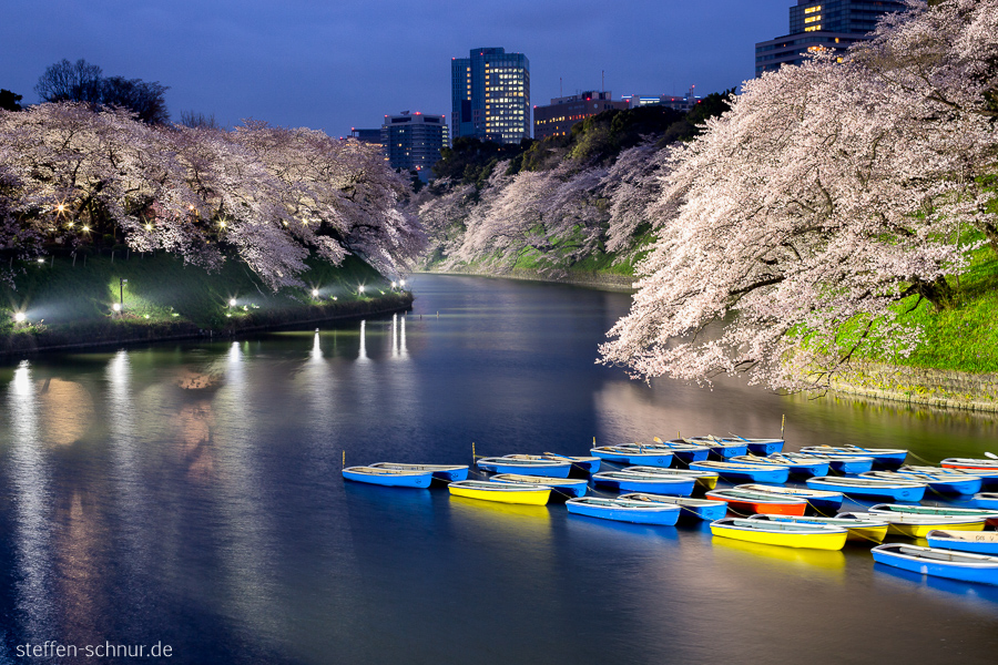 Tokio Japan Boote Bäume Natur