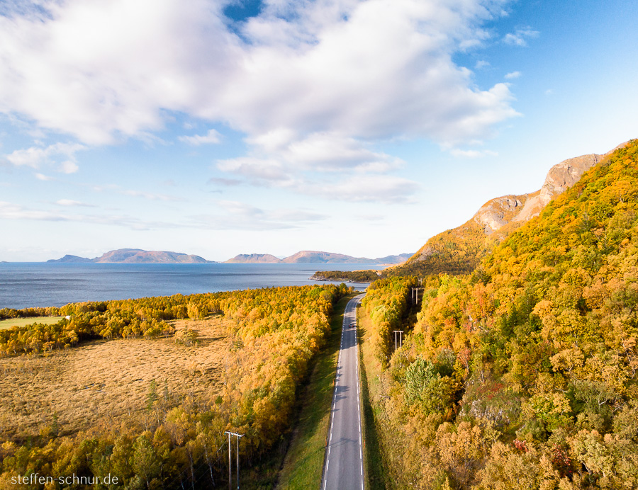 Nordland Bäume Herbst Norwegen Strasse von oben