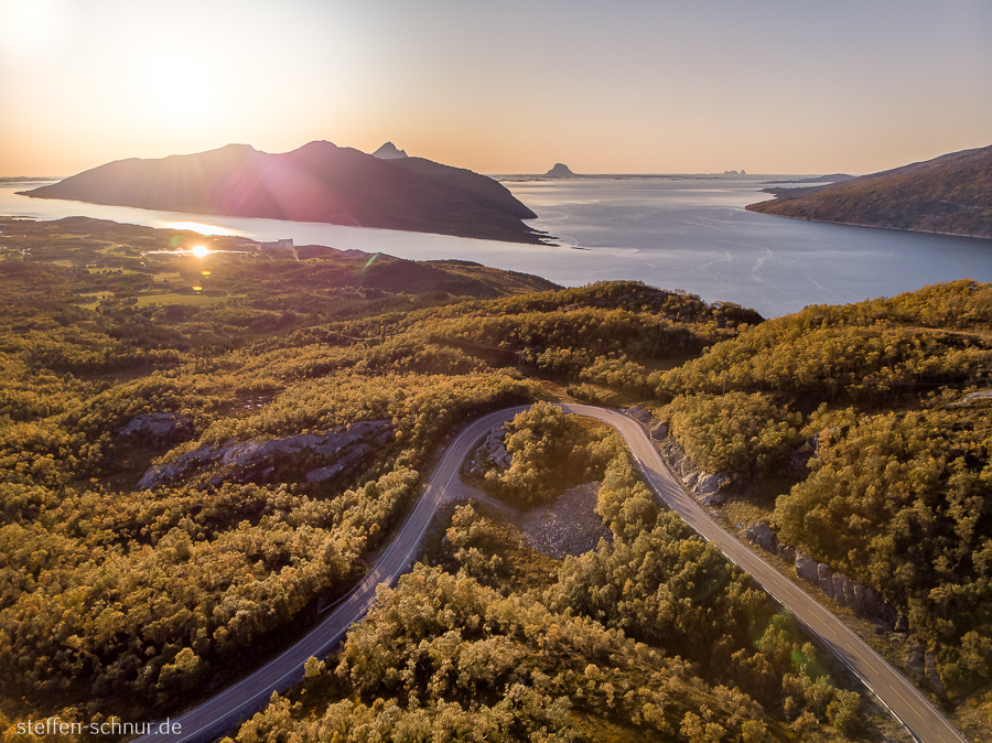 Nordland Fernsicht Insel Kurve Sonne Strasse Wald