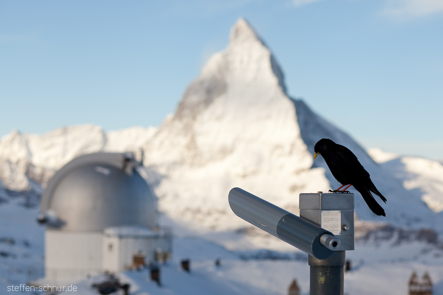 Fernrohr Matterhorn Schweiz Vogel Wallis Winter