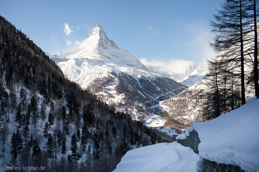 Matterhorn Schweiz Wald Wallis Wandern Winter Winterwanderweg