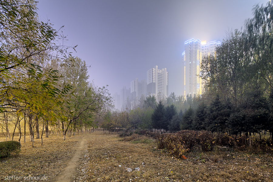Shenyang China Bäume Hochhäuser Lichter Müll Nacht