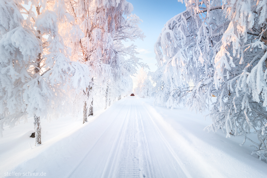 Schnee Lappland Finnland Bäume Strasse