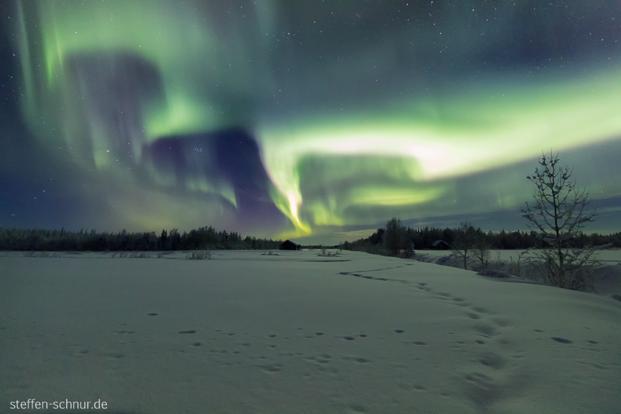 Aurora borealis Nordlichter Schnee Lappland Finnland Nacht Winter