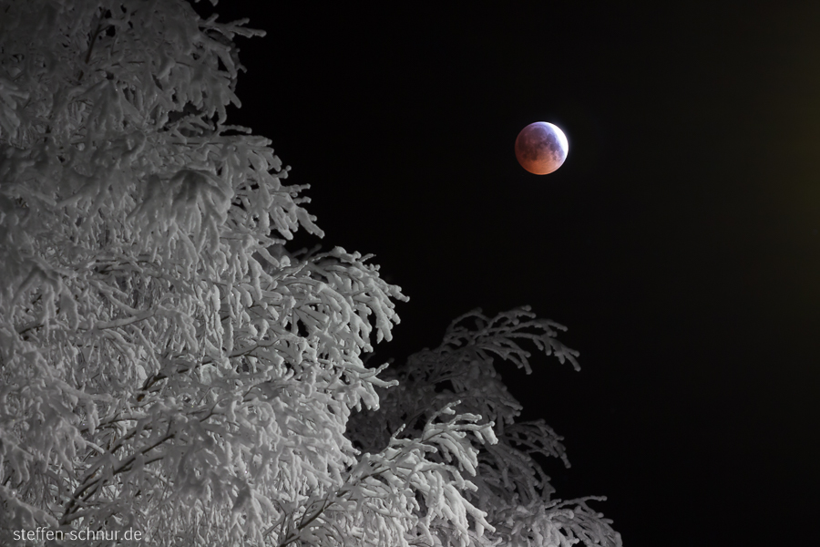 lunar eclipse
 Finland
 tree
