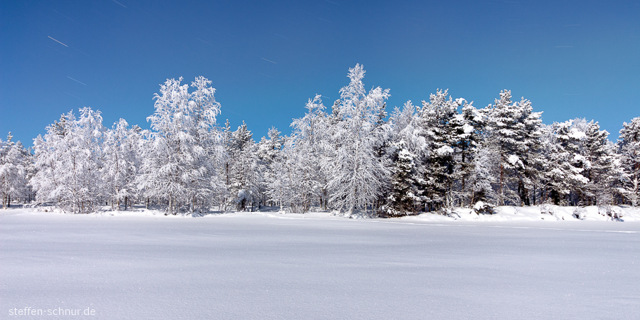 Lappland Finnland Bäume Wald Winter