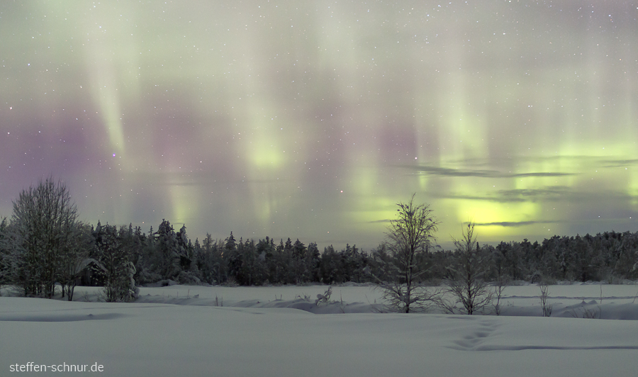 Nordlichter Schnee Lappland Finnland Bäume Nacht Winter