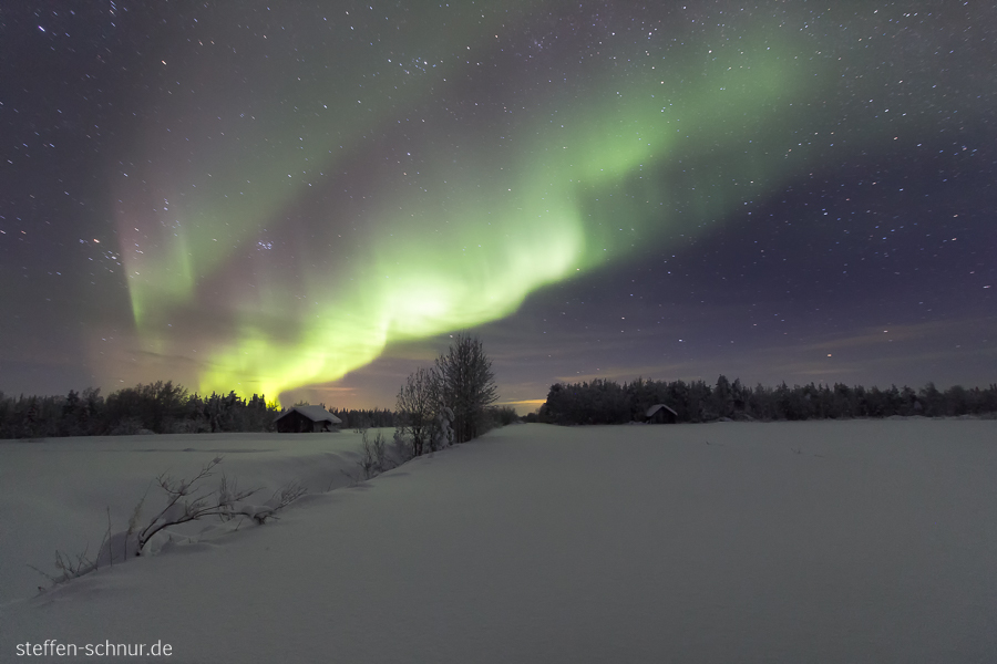 Nordlichter Schnee Lappland Finnland Baum Nacht Winter