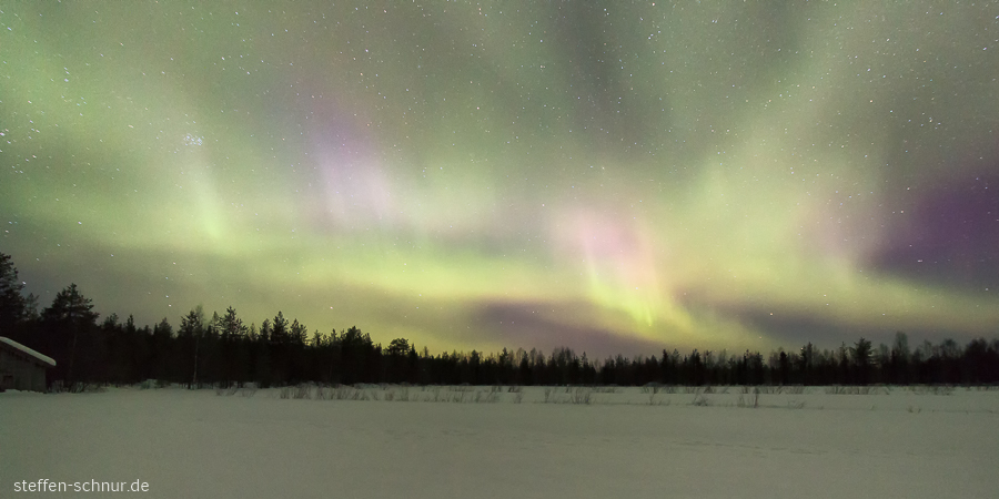 aurora borealis
 northern lights
 Polar Circle
 Lapland
 Finland
 Trees
