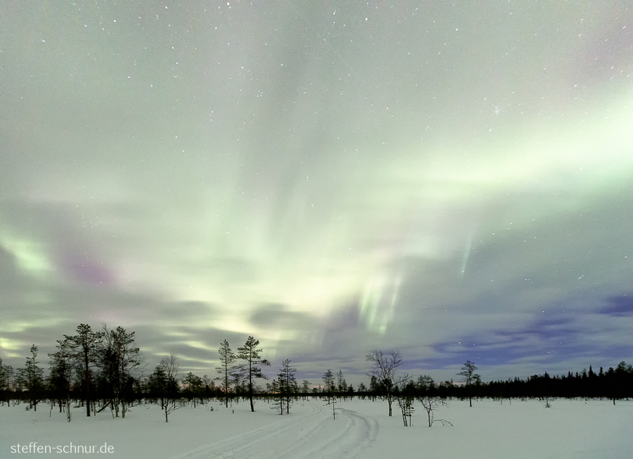 Polarkreis Lappland Finnland Nordlicht Wald