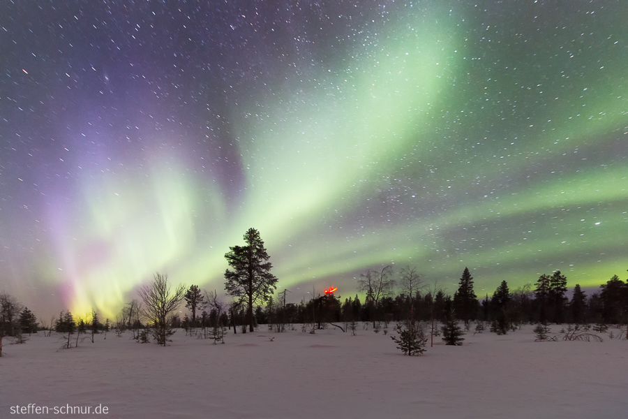 Nordlichter Lappland Finnland Bäume