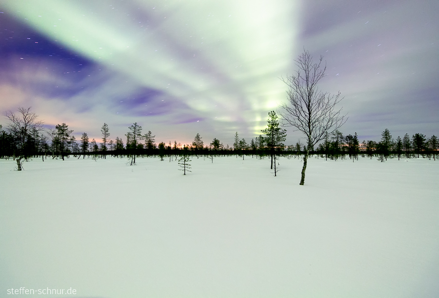 Aurora borealis Polarkreis Lappland Finnland Bäume Winter