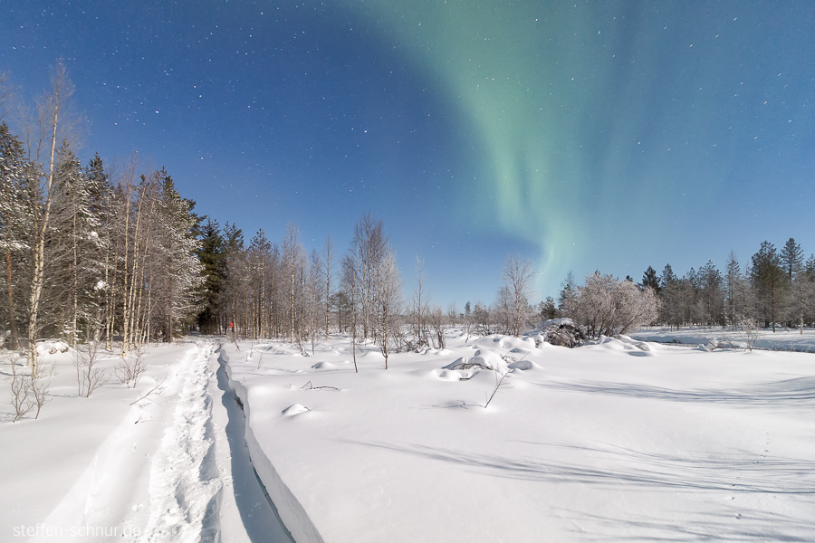 Aurora borealis Schnee Lappland Finnland Wald Weg Winter