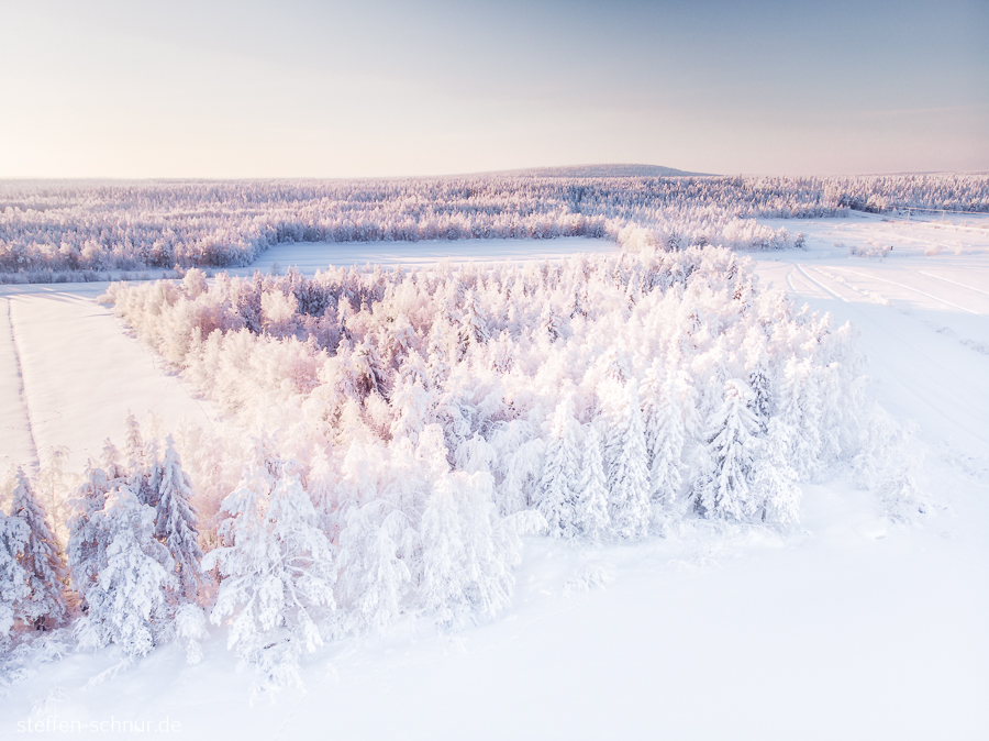 Schnee Lappland Finnland Bäume Wald von oben