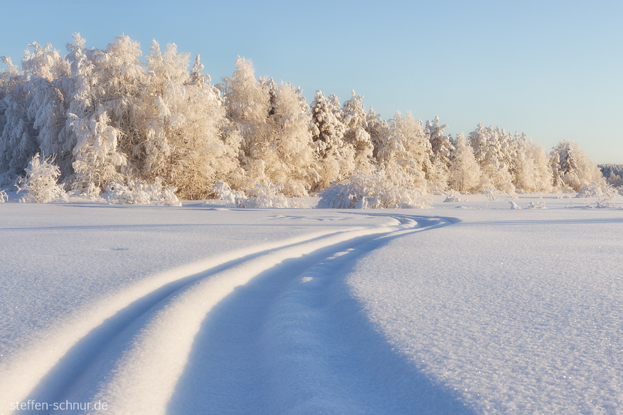 Schnee Lappland Finnland Winter