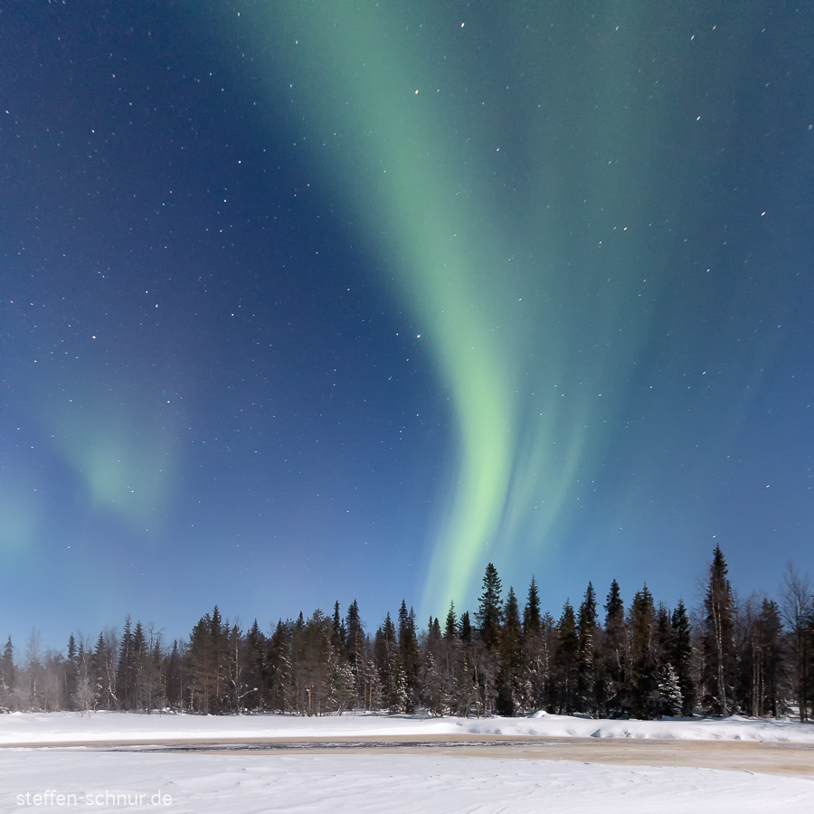 Aurora borealis Lappland Finnland Nacht Wald Winter