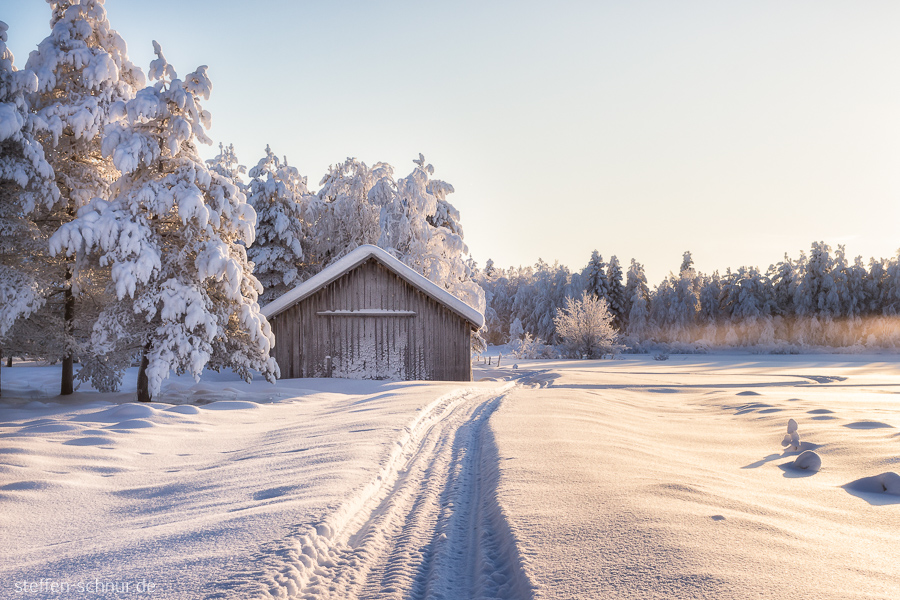 Schnee Lappland Finnland Hütte Sonnenschein Wald Weg