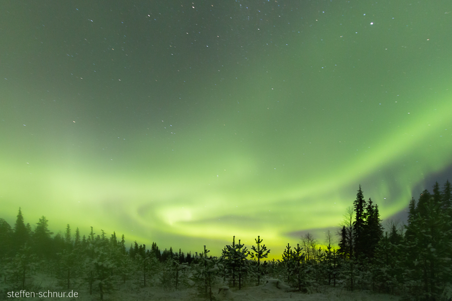 Nordlichter Schnee Lappland Finnland Bäume Sterne Wald