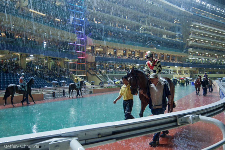 Pferderennen Happy Valley Wan Chai Hongkong China Personen Pferd