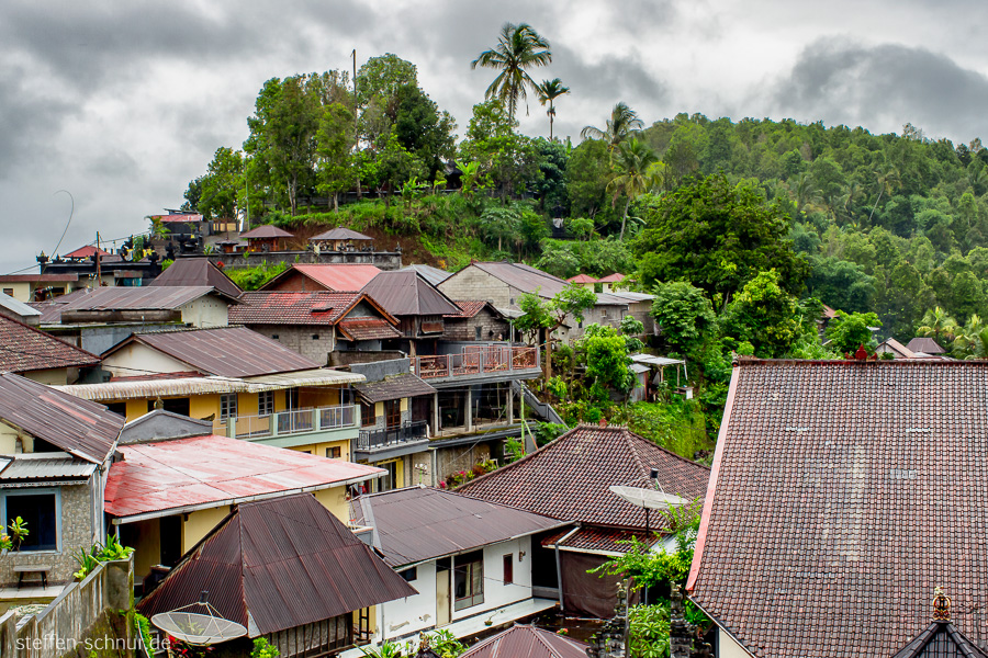 Berg Bali Indonesien Dorf Regenzeit Wald