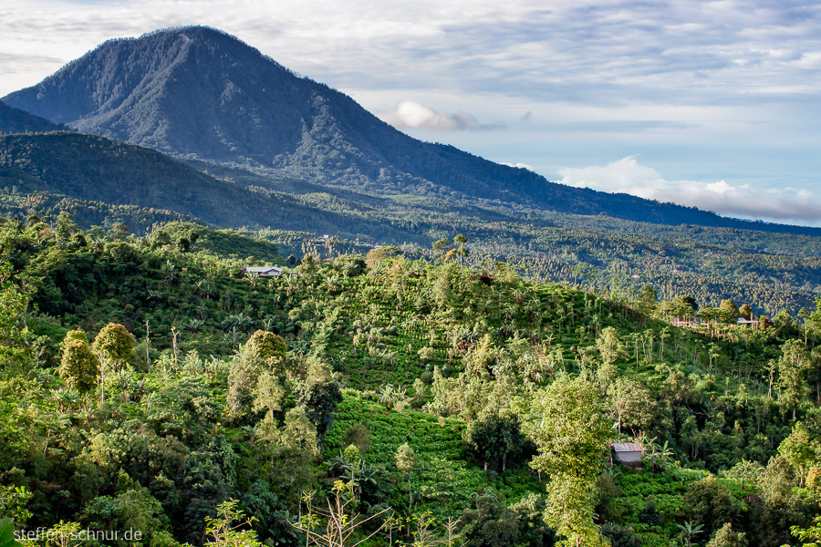 Berg Bali Indonesien Fernsicht Häuser Natur Wald