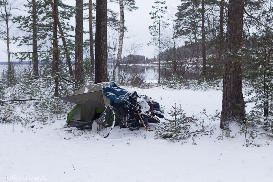Fahrrad Schweden Bäume Winter camping