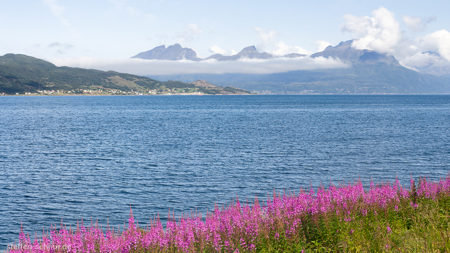 Berge Blumen Meer Norwegen Wolken