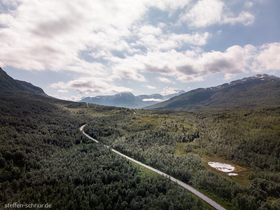 Norwegen Strasse Wald