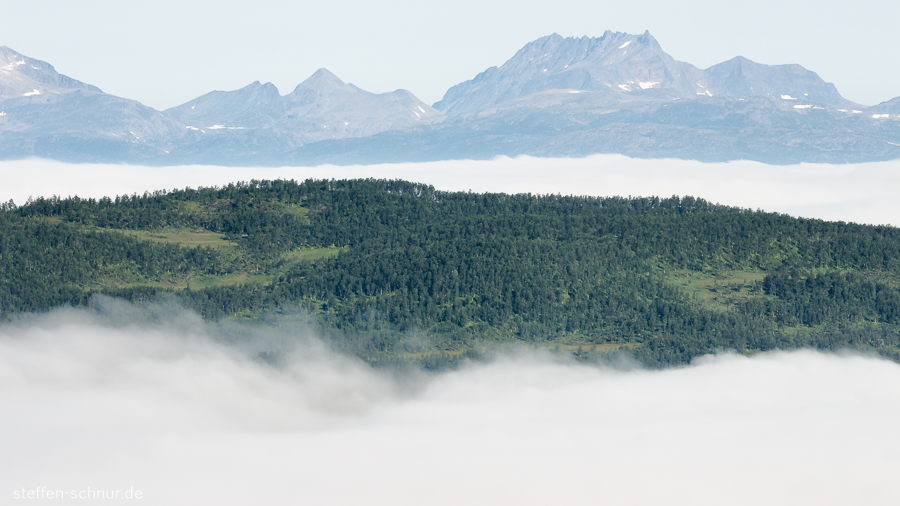 Berge Luftaufnahme Nebel Norwegen Wald
