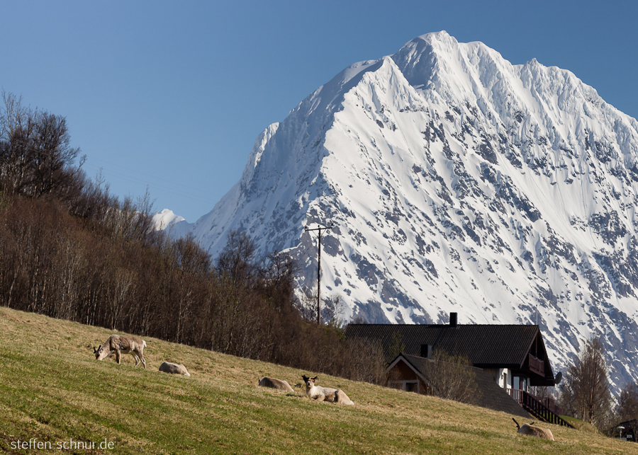 Schnee Berggipfel Haus Norwegen Wiese