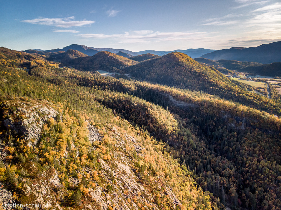 Berge Norwegen Wald