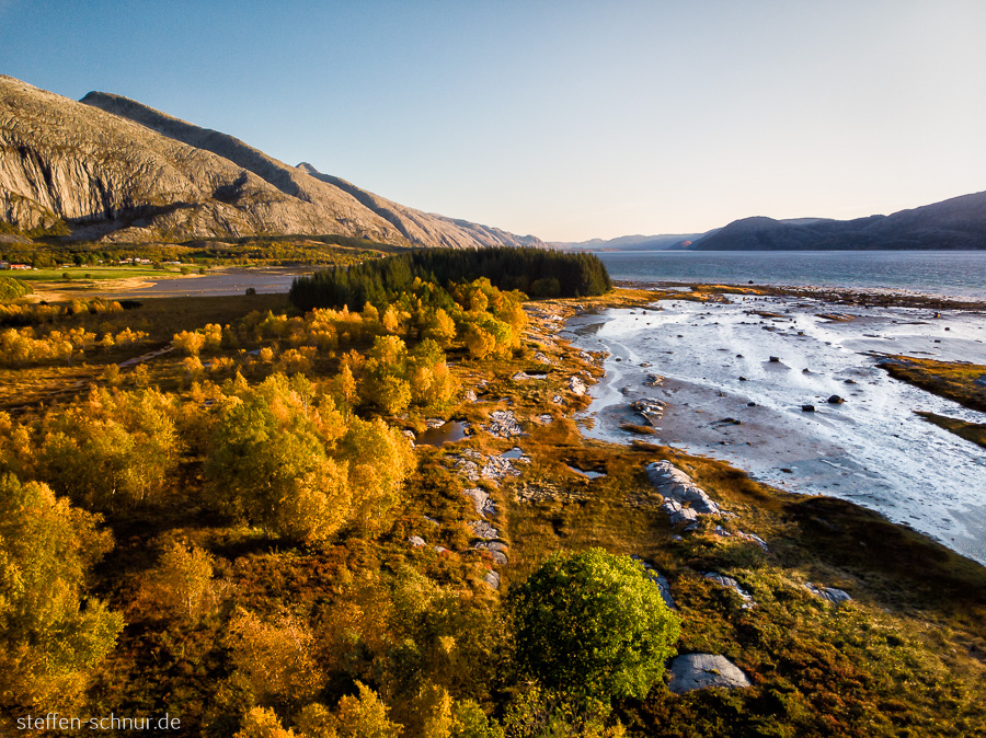 Nordland Bäume Fjord Herbst Norwegen