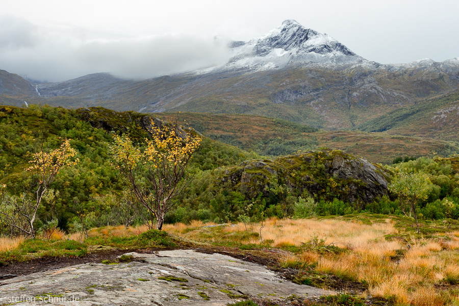 Berg Übersicht Nordland Bäume Felsen Norwegen