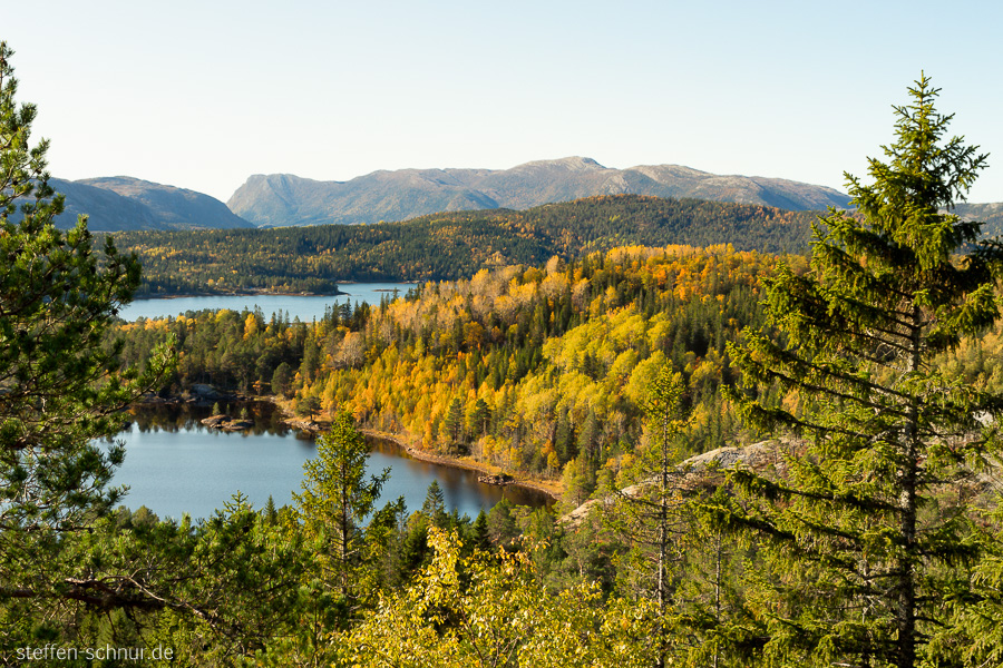 Norwegen See Wald