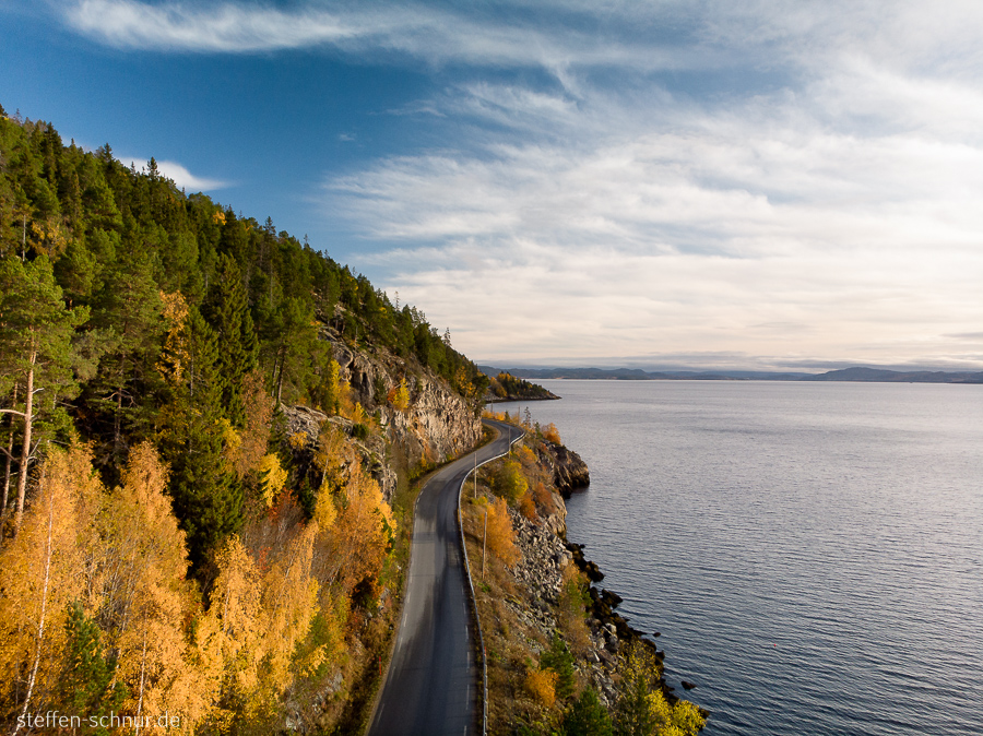 Trøndelag Küste Norwegen Strasse Wald