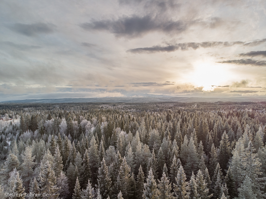 Schweden Sonne Wald Winter