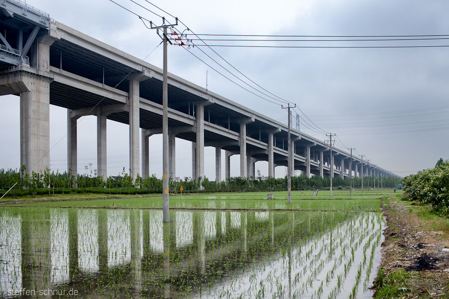 Autobahn Shanghai China Architektur Brücke Reis Reisanbau