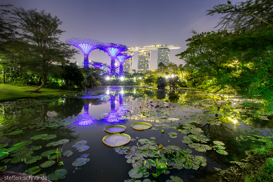 Stadtansicht Singapur Natur Teich