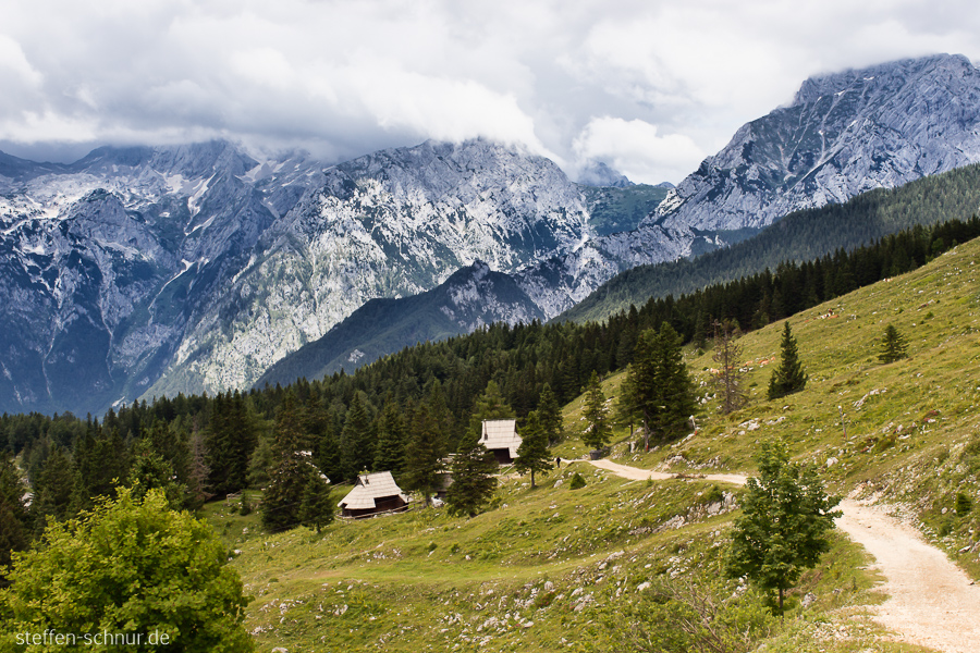 Berge Velika Planina Slowenien Bäume Hütten Strasse