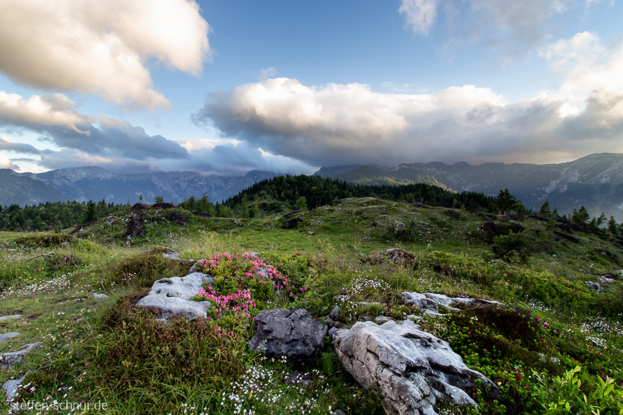 Slowenien Berglandschaft Felsen Pflanzen Wolken