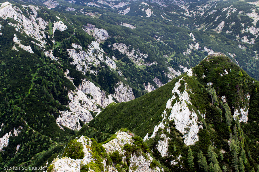 Slowenien Gebirge Wald Weg