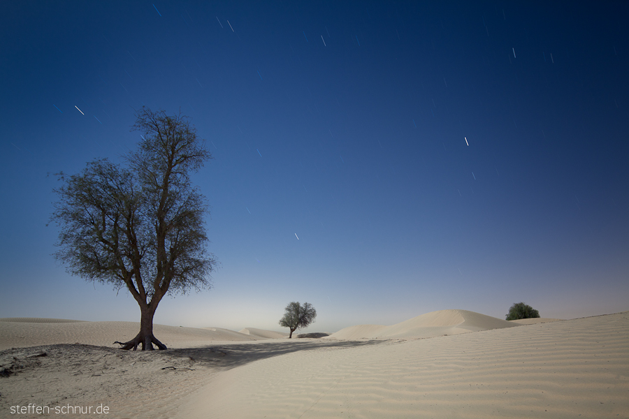 Baum Bäume Langzeitbelichtung Sand Sanddünen Sterne VAE